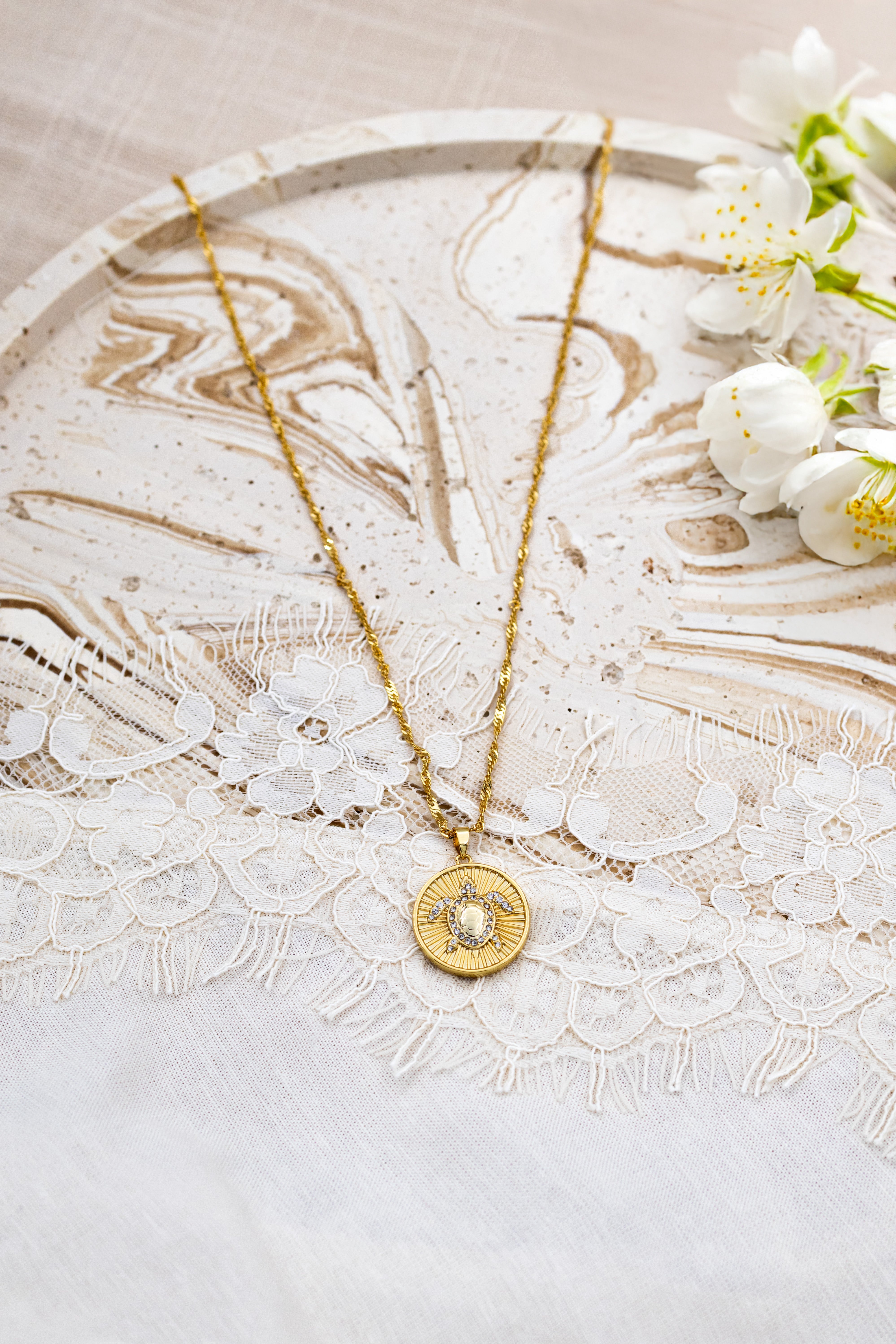 Secret Amulet Turtle