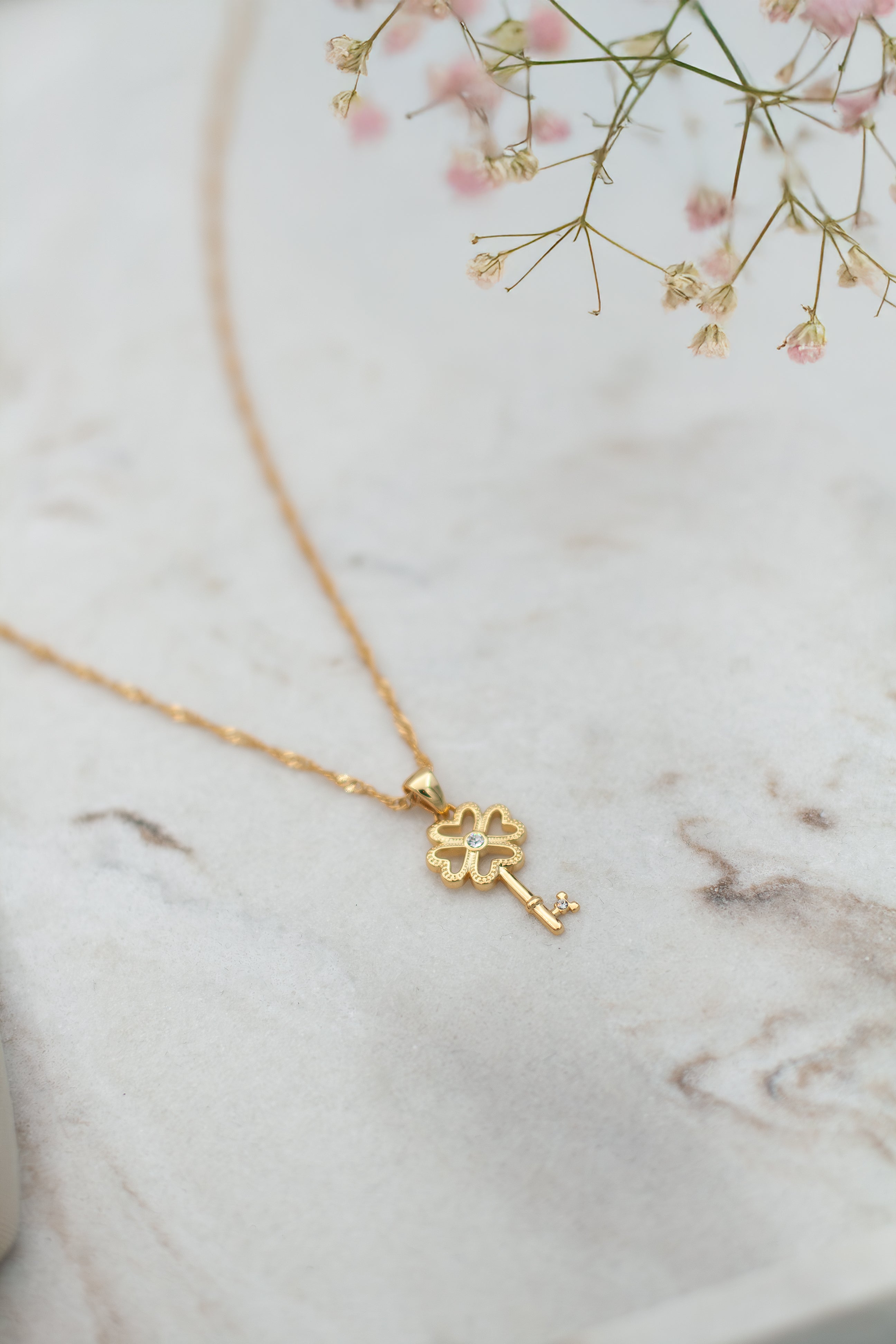 Manifistation key necklace