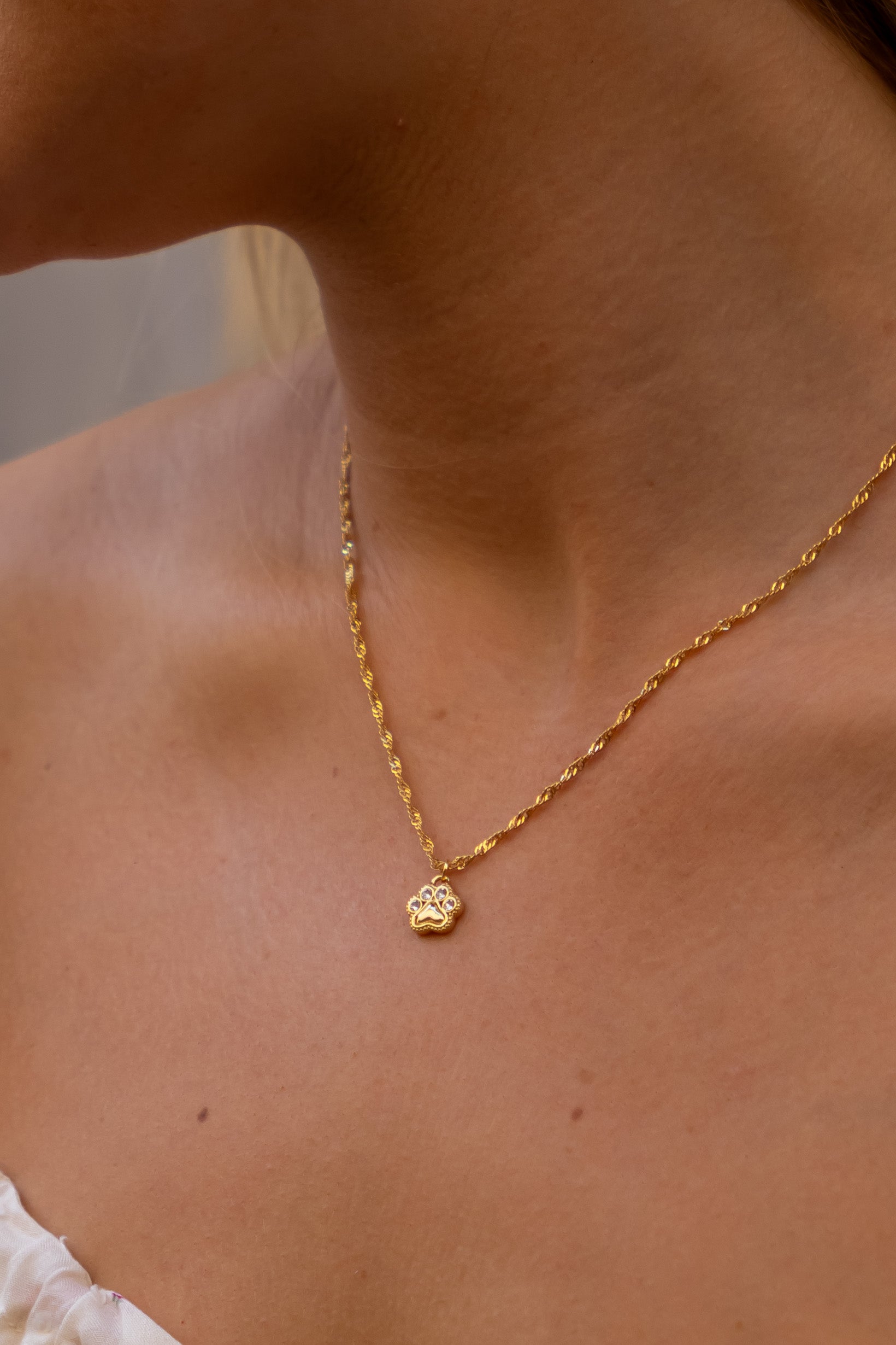 Forever paw necklace