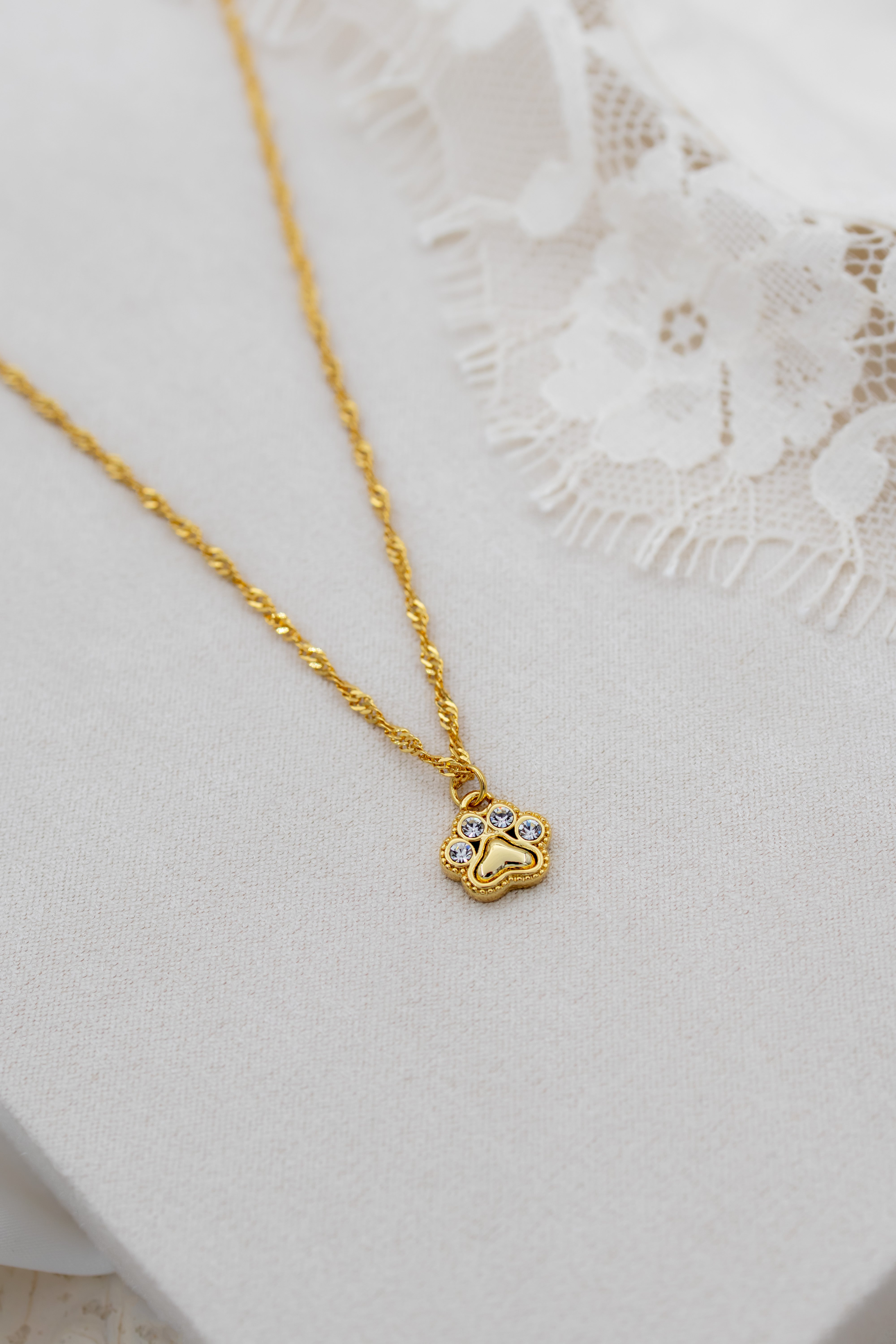Forever paw necklace