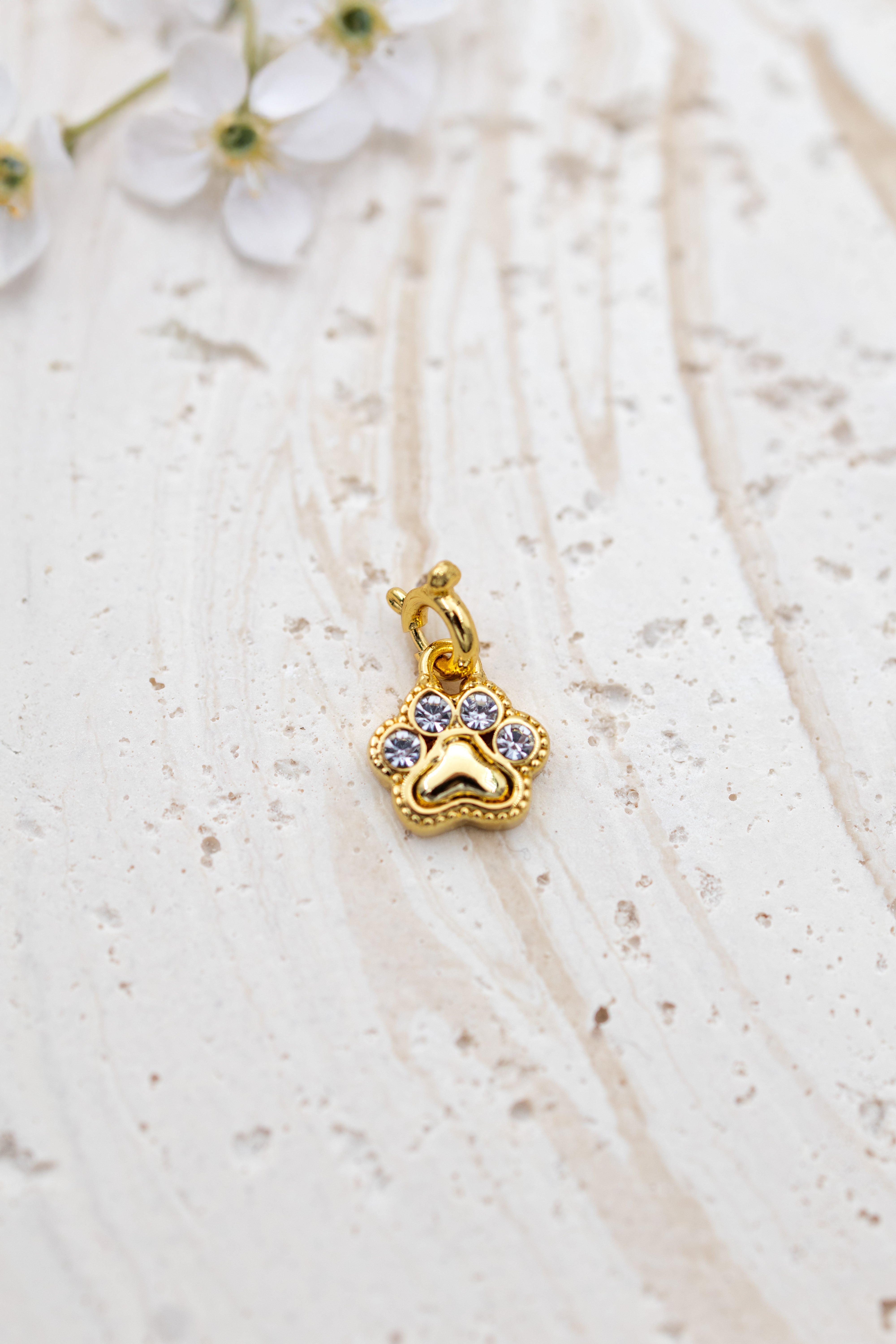 Fortuna Paw charm
