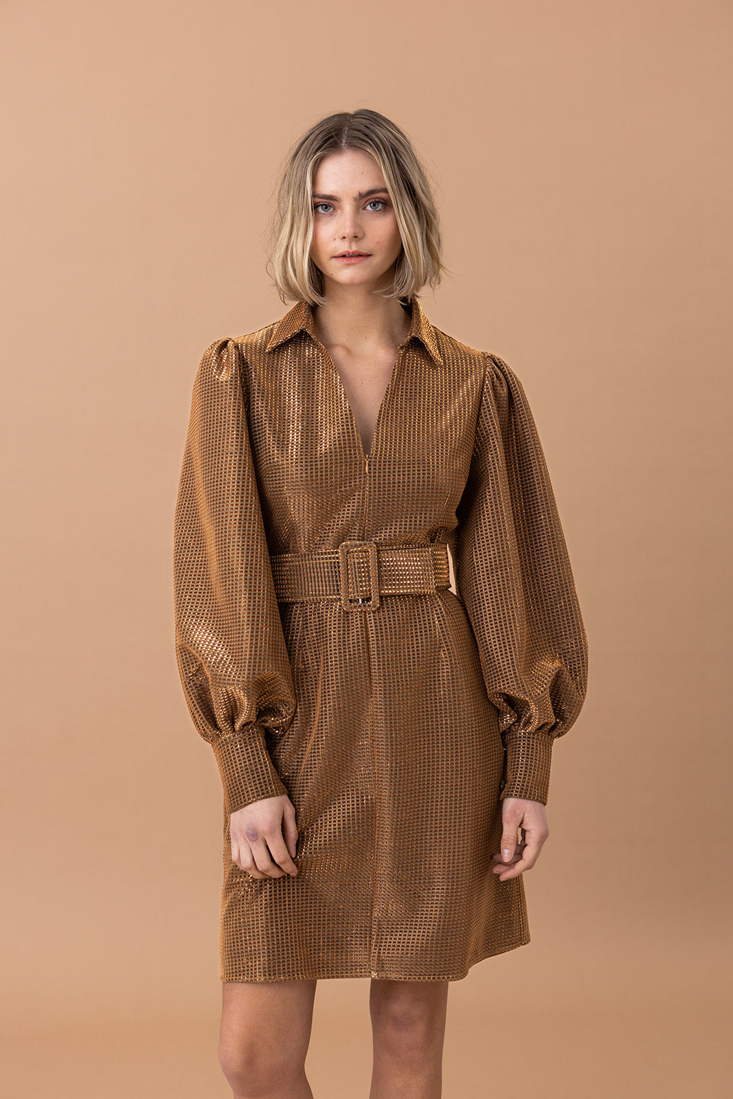 AW23 - Lory kjole brun