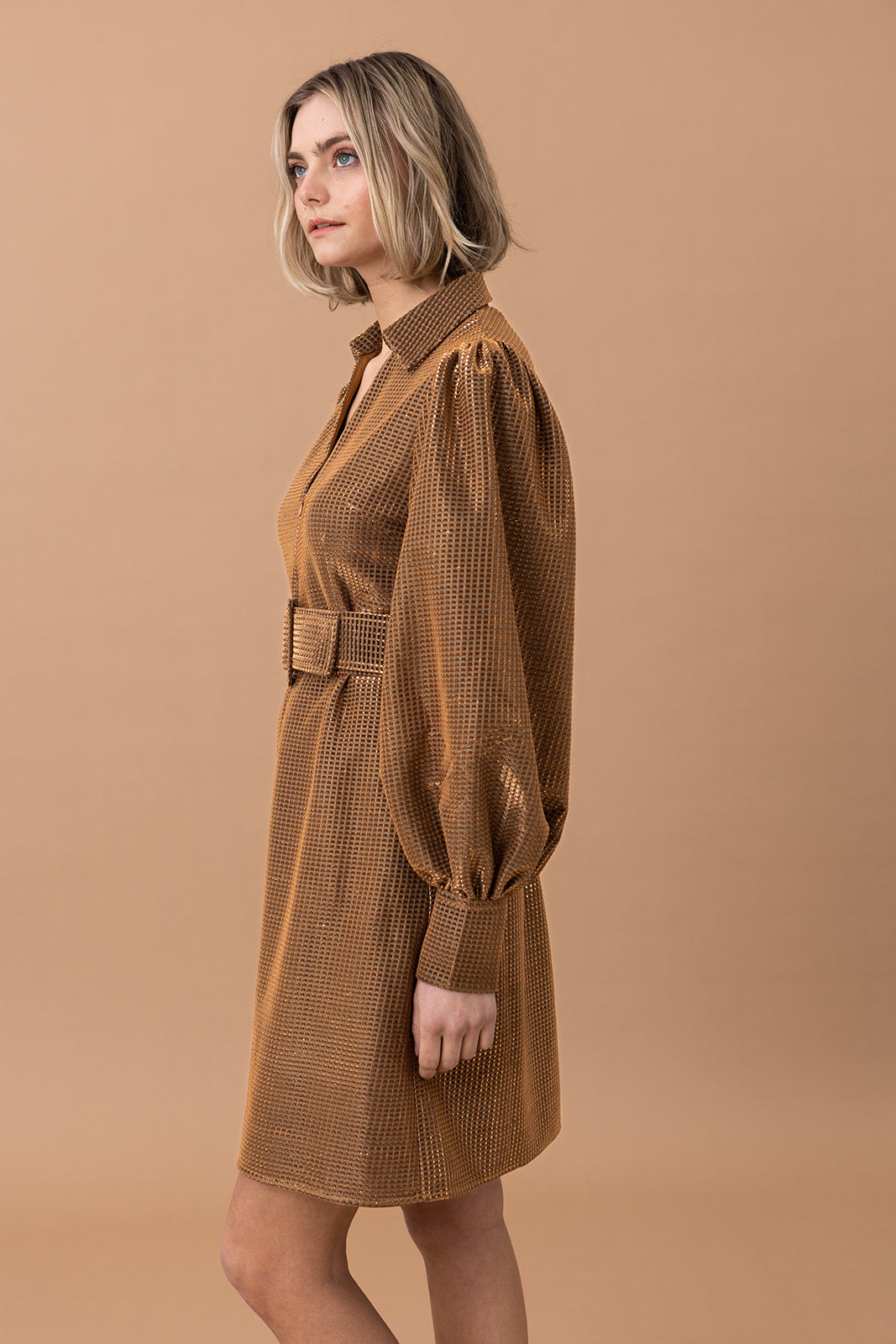AW23 - Lory kjole brun
