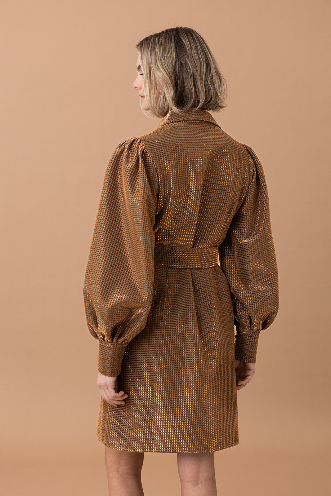 AW23 - Lory kjole brun