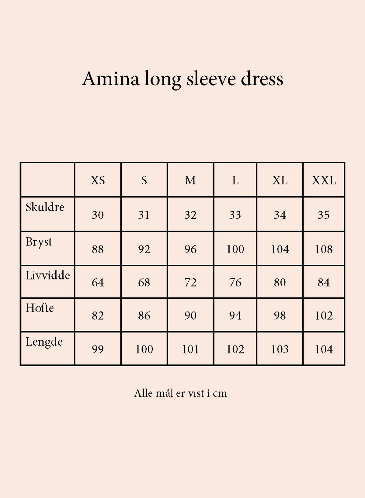 Secrets by B AW26 Amina long sleeve dress