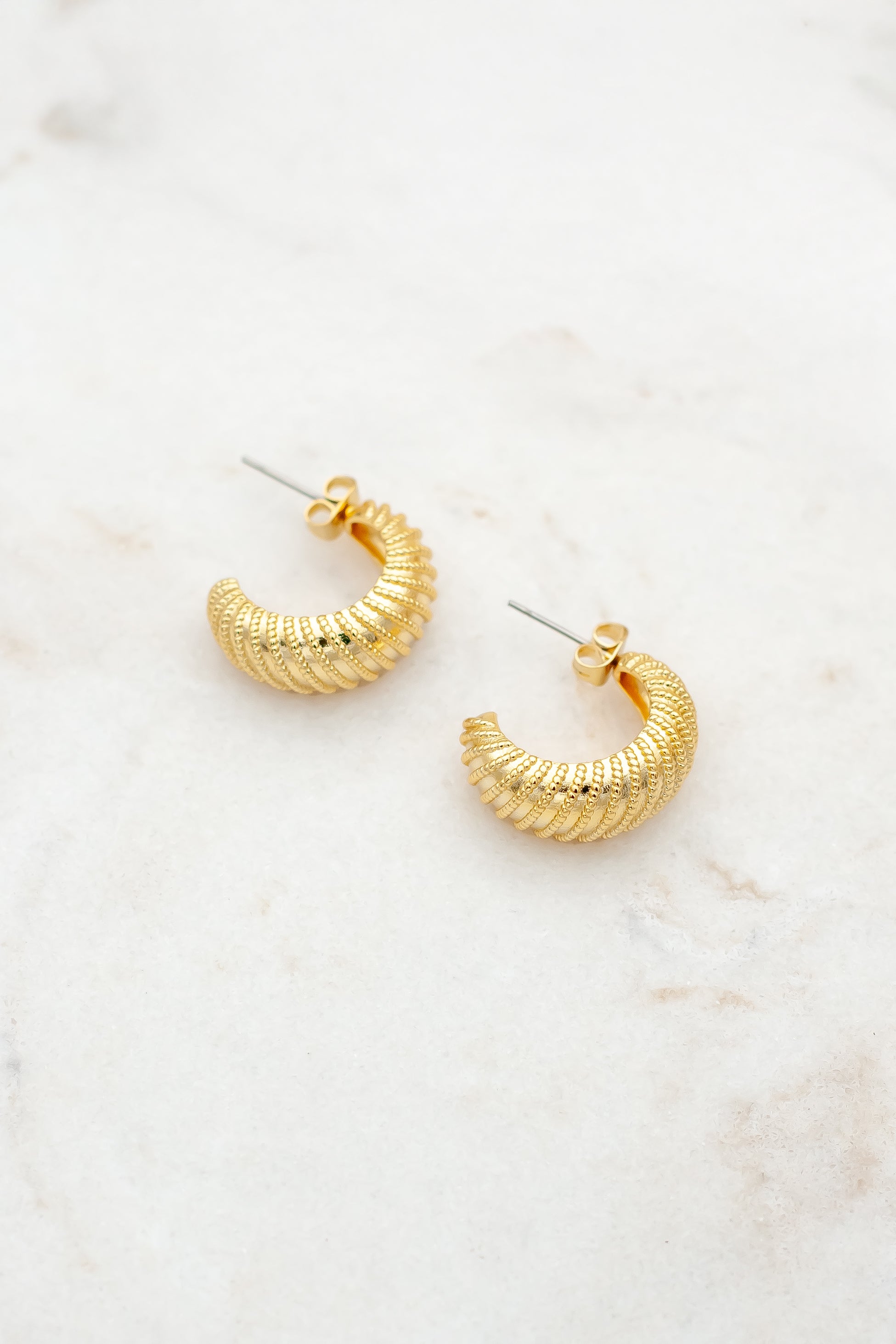 Erin earrings grande