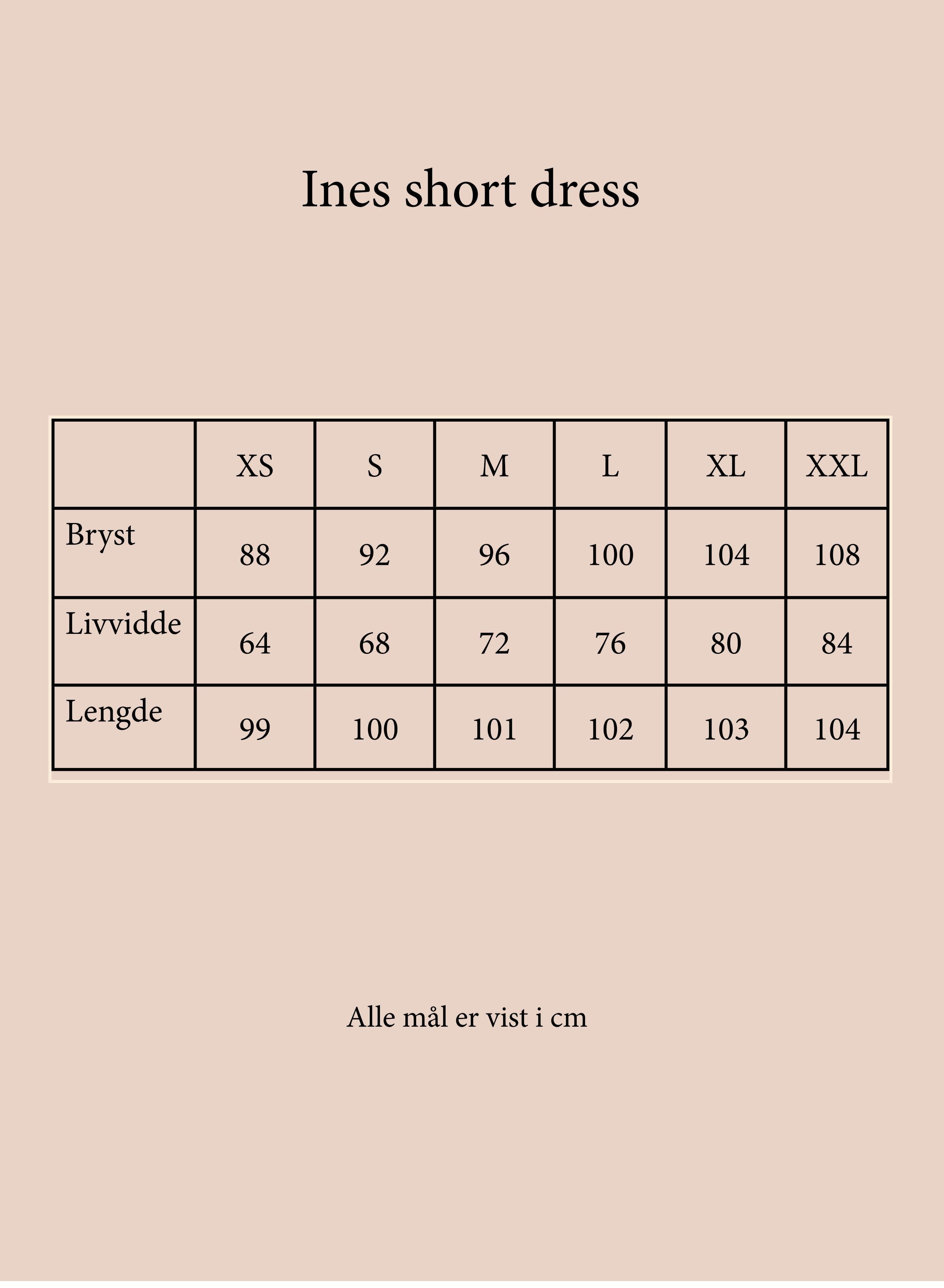 Ines short dress brown